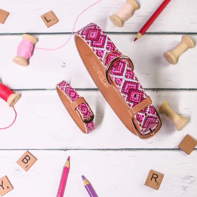 Show full view: FriendshipCollar Pedigree Princess Leather Dog Collar with Friendship Bracelet, Medium: 15 to 18-in neck, 1-in wide slide 7 of 11