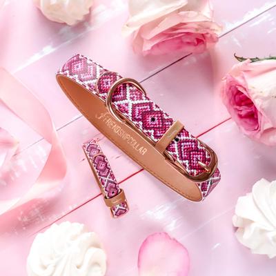 Show full view: FriendshipCollar Pedigree Princess Leather Dog Collar with Friendship Bracelet, Medium: 15 to 18-in neck, 1-in wide slide 8 of 11