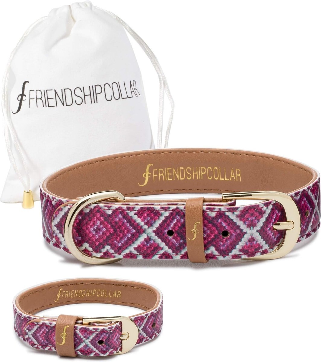 FriendshipCollar Pedigree Princess Leather Dog Collar with Friendship Bracelet