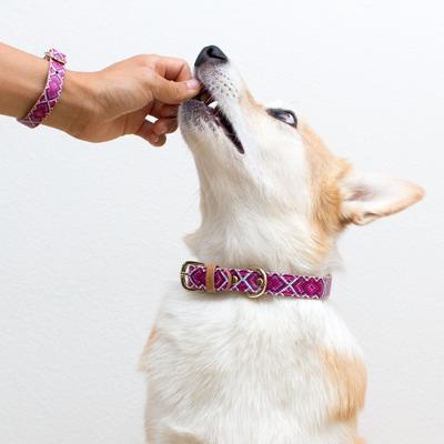 Show full view: FriendshipCollar Pedigree Princess Leather Dog Collar with Friendship Bracelet, X-Large: 19 to 22-in neck, 1-in wide slide 3 of 10