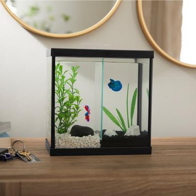 Show full view: Frisco 2 Betta Aquarium with Divider/Top, 1-gal slide 4 of 6