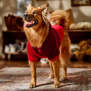 Frisco 2-Tone Colorblock Fleece Dog & Cat Hoodie, Burgundy, X-Large