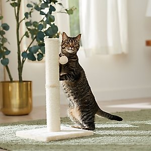 Frisco 21-in Sisal Cat Scratching Post with Toy, 2 count, Cream