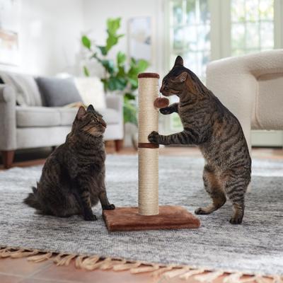FRISCO 21-in Sisal Cat Scratching Post with Toy, Brown, count