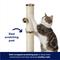 Show in main carousel: Frisco 21-in Sisal Cat Scratching Post with Toy, Cheetah, 1 count slide 3 of 6