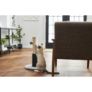 Frisco 21-in Sisal Cat Scratching Post with Toy & Groomer, Gray, 1 count