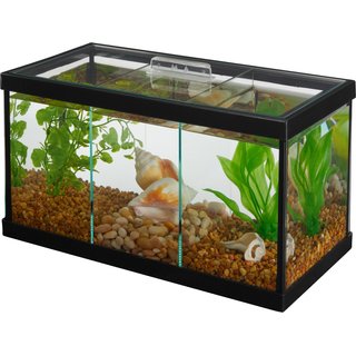 Frisco 3 Betta Aquarium with Divider/Top, 1.7-gal slide 1 of 4