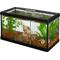 Show in main carousel: Frisco 3 Betta Aquarium with Divider/Top, 1.7-gal slide 1 of 6