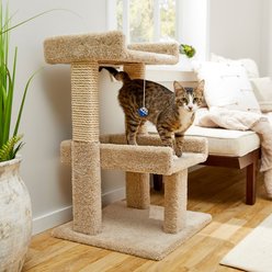 Frisco 32-in Real Carpet Solid Wood Cat Tree with Toy, Beige