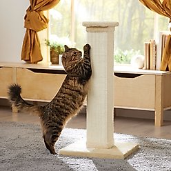 Frisco 33-in Heavy Duty Sisal Cat Scratching Post, Cream slide 1 of 6