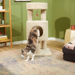 Frisco 36-in Real Carpet Wooden Cat Tree with Condo, Beige