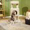 Show in main carousel: Frisco 36-in Real Carpet Wooden Cat Tree with Condo, Beige slide 1 of 9