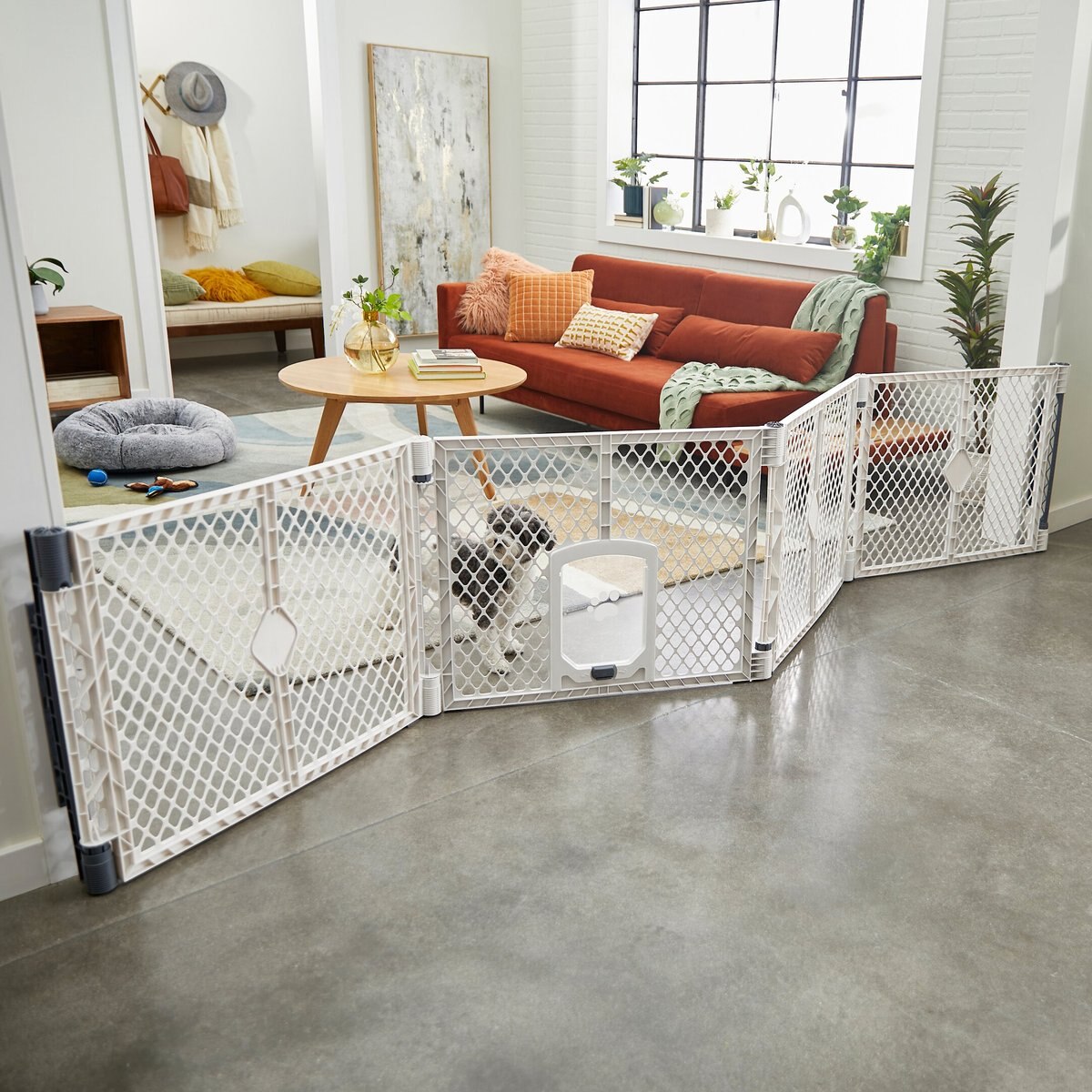 Frisco 4-Panel Plastic Dog Exercise Pen