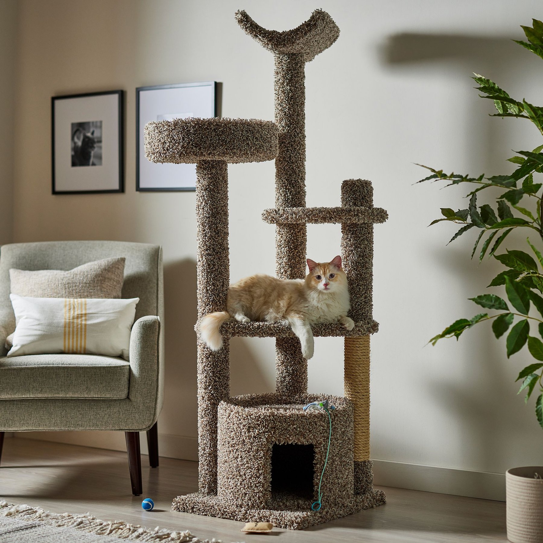 Frisco 64-in Real Carpet Solid Wood Cat Tree & Condo, Brown Speckled