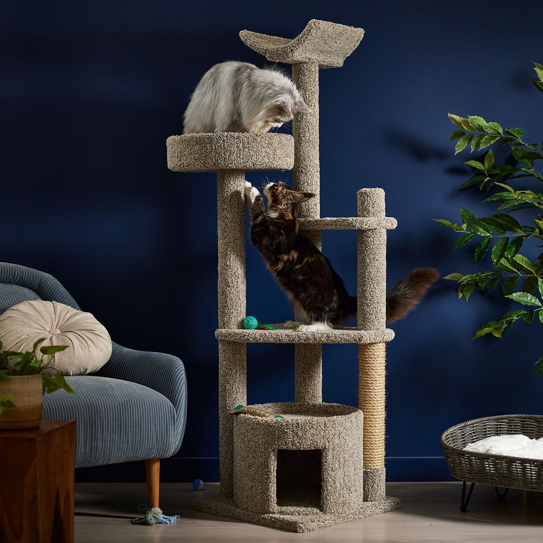 Frisco 64-in Real Carpet Solid Wood Cat Tree & Condo, Gray Speckled