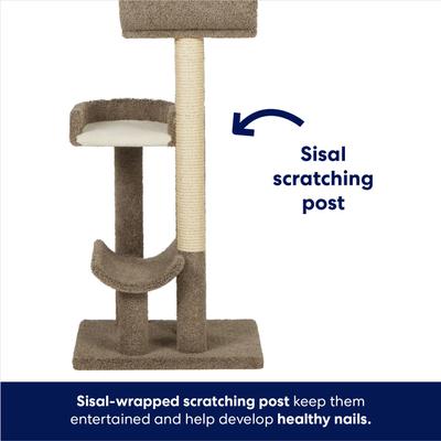 Show full view: Frisco 69-in Real Carpet Solid Wood Cat Tree, Gray slide 5 of 8