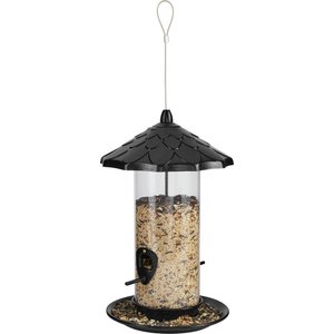 Frisco Acorn Wild Bird Feeder