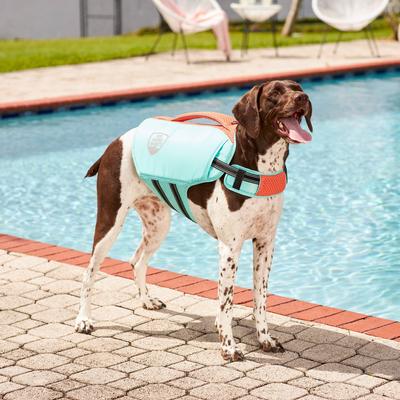 Show full view: Frisco Active Dog Life Jacket, Small slide 9 of 12