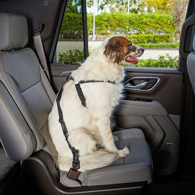 Show full view: Frisco Adjustable Seatbelt Tether, Length 3-ft, Width: 1'', Reflective Black + Quilted Water Resistant Hammock Car Seat Cover, Regular, Gray slide 4 of 9