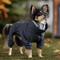 Show in main carousel: Frisco All Weather Bonded Dog Suit with Knit Snood, Charcoal, Small slide 7 of 10