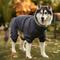Show in main carousel: Frisco All Weather Bonded Dog Suit with Knit Snood, Charcoal, XX-Large slide 7 of 10