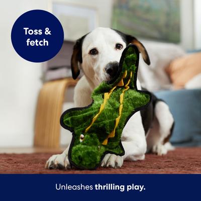 Show full view: Frisco Alligator Stuffing-Free Flat Plush Squeaky Dog Toy, Large slide 3 of 6