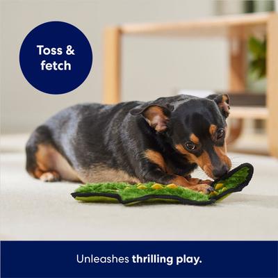 Show full view: Frisco Alligator Stuffing-Free Flat Plush Squeaky Dog Toy, Medium slide 3 of 6