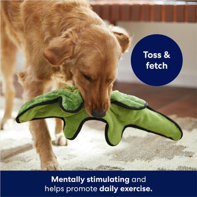 Show full view: Frisco Alligator Stuffing-Free Flat Plush Squeaky Dog Toy, X-Large slide 4 of 7