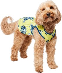 Frisco Aloha Palm Leaf Dog & Cat Dress, Green, Large