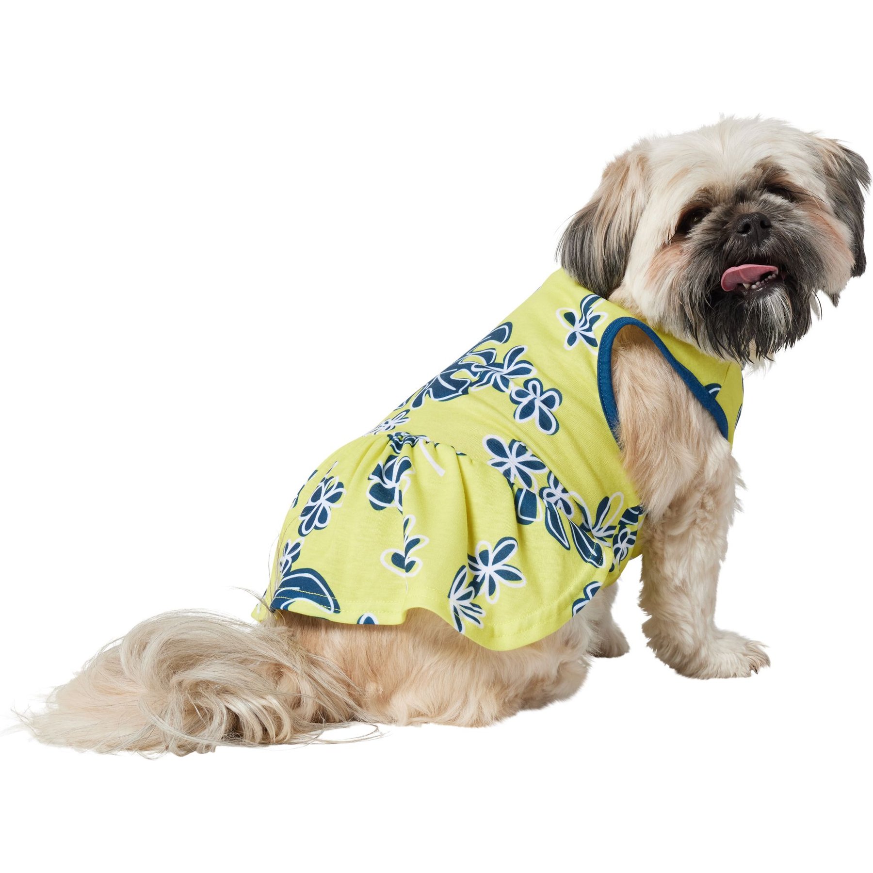Frisco Aloha Palm Leaf Dog & Cat Dress, Green, Medium