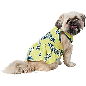 Frisco Aloha Palm Leaf Dog & Cat Dress, Green, Medium
