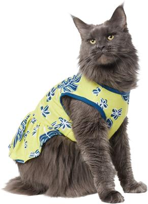 Show full view: Frisco Aloha Palm Leaf Dog & Cat Dress, Green, Medium slide 3 of 10