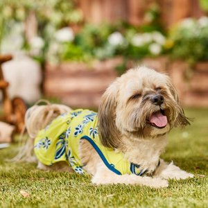 Frisco Aloha Palm Leaf Dog & Cat Dress, Green, Medium