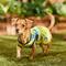 Show in main carousel: Frisco Aloha Palm Leaf Dog & Cat Dress, Green, Small slide 7 of 10