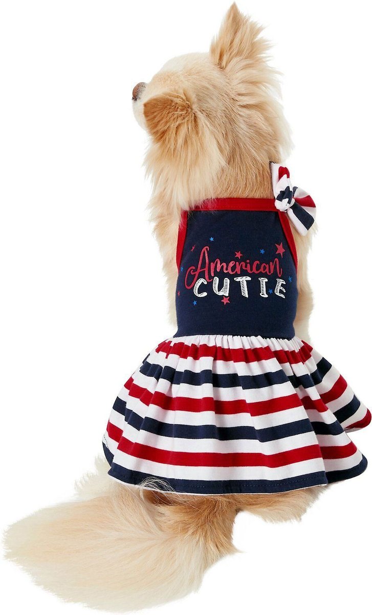 Frisco American Cutie Dog & Cat Sundress
