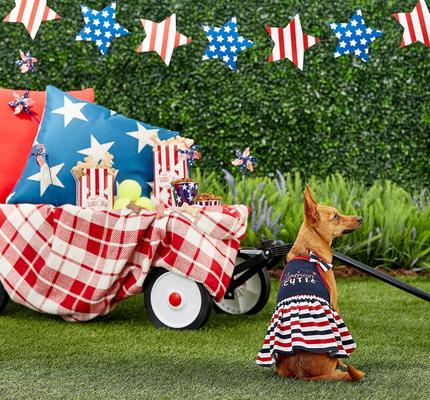 Show full view: Frisco American Cutie Dog & Cat Sundress, Stripes, XX-Large slide 5 of 7