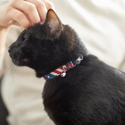 Show full view: Frisco American Flag Cat Collar, 8 to 12-in neck, 3/8-in wide slide 4 of 6