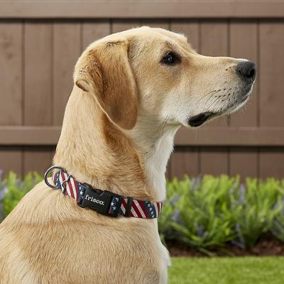 Show full view: Frisco American Flag Dog Leash, Large: 6-ft long, 1-in wide & Frisco American Flag Dog Collar, Large: 18 to 26-in neck, 1-in wide slide 4 of 5