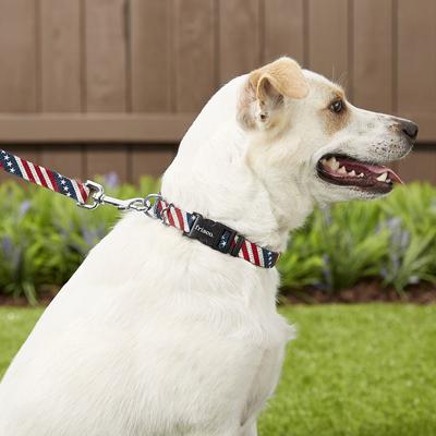 Show full view: Frisco American Flag Dog Leash, Medium: 6-ft long, 3/4-in wide & Frisco American Flag Dog Collar, Medium: 14 to 20-in neck, 3/4-in wide slide 3 of 5
