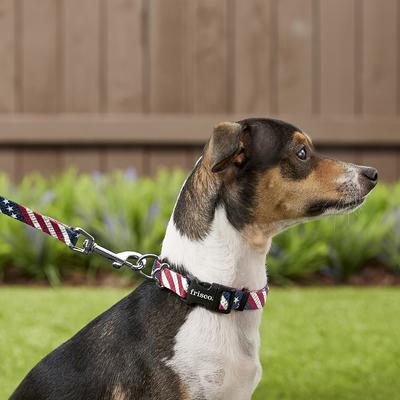 Show full view: Frisco American Flag Dog Leash, Small: 6-ft long, 5/8-in wide & Frisco American Flag Dog Collar, Small: 10 to 14-in neck, 5/8-in wide slide 3 of 6