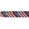 Show in main carousel: Frisco American Flag Polyester Dog Collar, Large: 18 to 26-in neck, 1-in wide slide 4 of 7