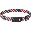 Frisco American Flag Polyester Dog Collar, Med: 14 to 20-in neck, 3/4-in W
