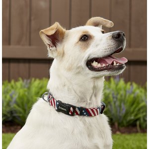 Frisco American Flag Polyester Dog Collar, Med: 14 to 20-in neck, 3/4-in W