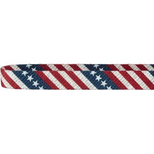 Frisco American Flag Polyester Dog Collar, Med: 14 to 20-in neck, 3/4-in W