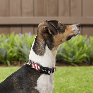 Frisco American Flag Polyester Dog Collar, S: 10 to 14-in neck, 5/8-in W