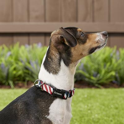 Show full view: Frisco American Flag Polyester Dog Collar, S: 10 to 14-in neck, 5/8-in W slide 3 of 7