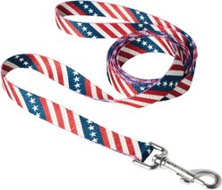 Frisco American Flag Polyester Dog Leash, Medium: 6-ft long, 3/4-in wide