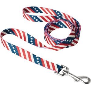 Frisco American Flag Polyester Dog Leash, Medium: 6-ft long, 3/4-in wide