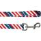 Show in main carousel: Frisco American Flag Polyester Dog Leash, Medium: 6-ft long, 3/4-in wide slide 2 of 7