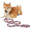 Show in main carousel: Frisco American Flag Polyester Dog Leash, Medium: 6-ft long, 3/4-in wide slide 3 of 7
